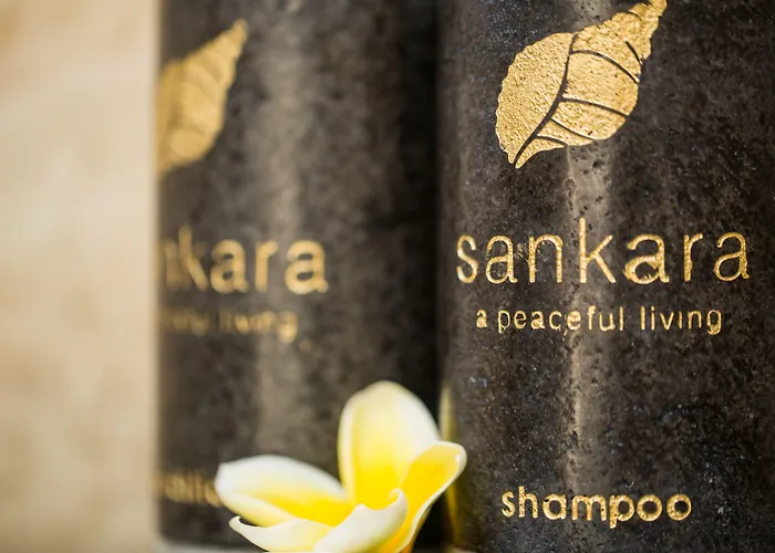 The Sankara & 4*