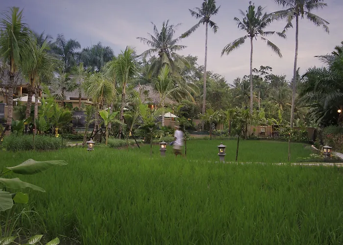 The Sankara & 4* Ubud